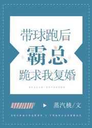 带球跑后霸总跪求我复婚章节目录
