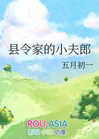 县令家的小夫郎晋江