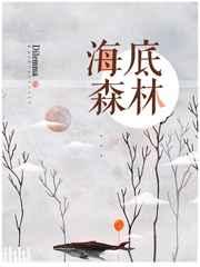 海底森林神奇在哪里