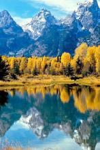 主人公叫木辰的