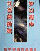 梦幻都市剧集介绍