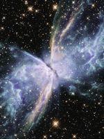 五维赖氨酸适合多大孩子吃