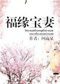 福缘宝妻全文免费