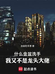 我又不是龙头大佬无错