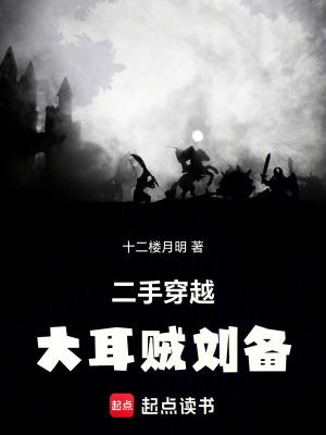 二手穿越大耳贼刘备3Q中文