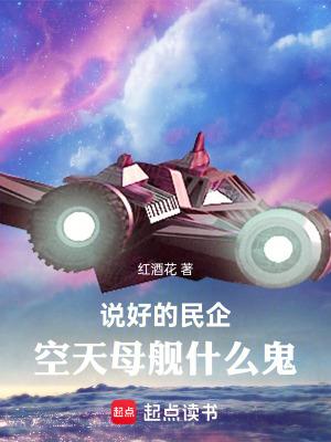 空天母舰什么鬼全本