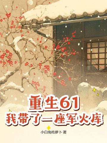 我带了一座军火库全文阅读