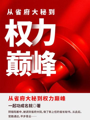 从省府大秘到权力巅峰免费完整版