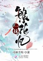 繁华中的一抹宁静的意思