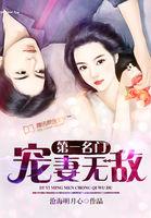 名门第一宠妻攻妻不备