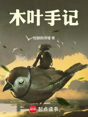 木叶手记原著