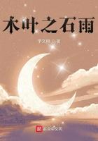 木叶之影流免费阅读