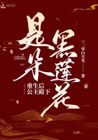重生后公主殿下是朵黑莲花免费