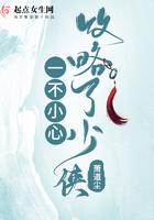 一不小心攻略了男主免费阅读