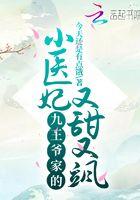 九王爷家的小狼妃
