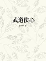 武道侠心TXT