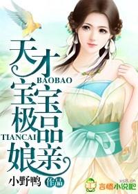 天才宝宝极品娘亲全文阅读