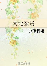 南北杂货全本txt