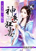 天下第一神医女婿