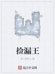 捡漏王的东西价格